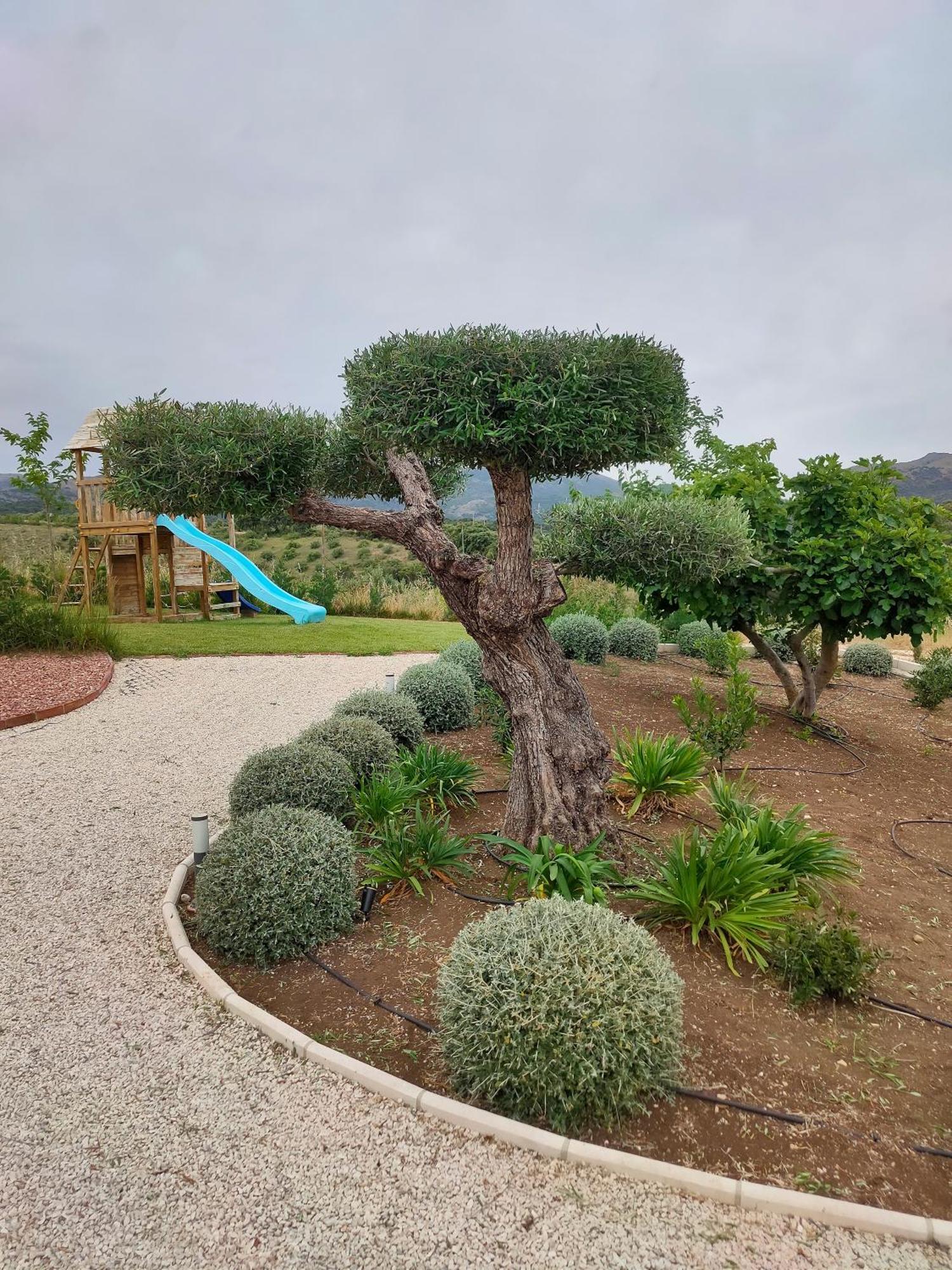 La Marabulla Villa Ronda Bagian luar foto